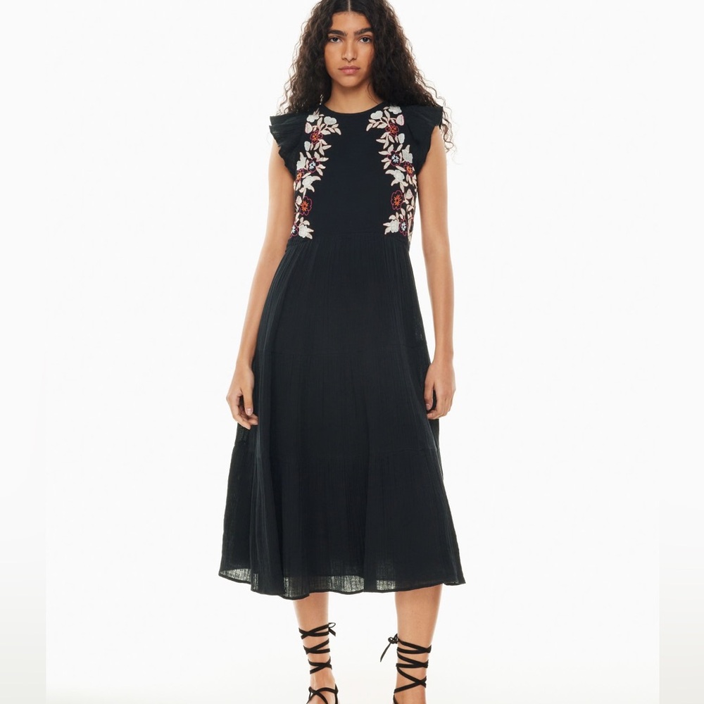 Aritzia Little Moon Franco dress embroidered cap sleeve
